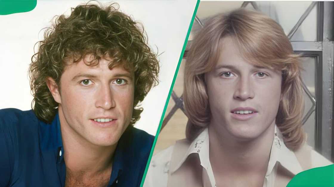 Peta Gibb Peta Gibb