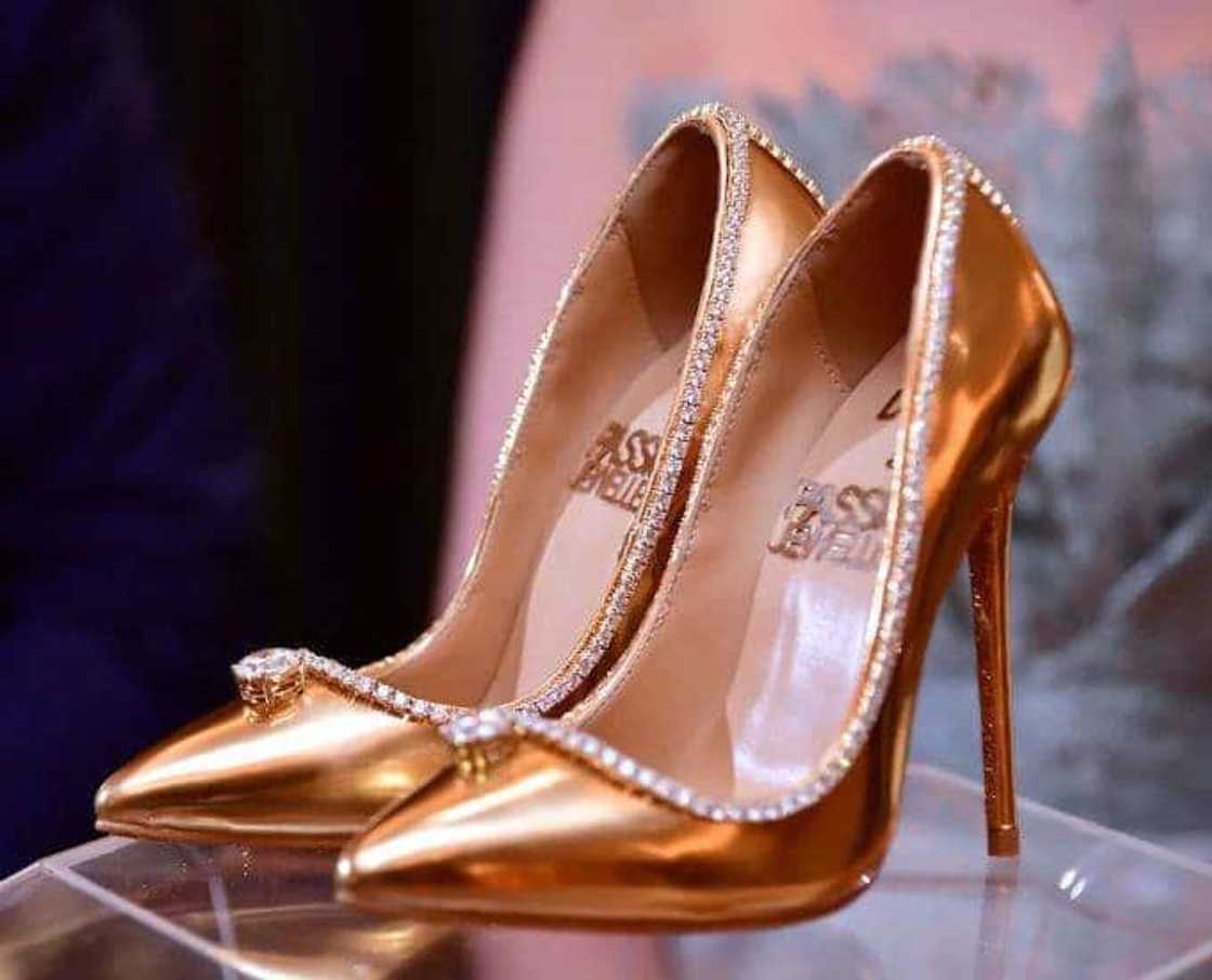 most expensive shoes