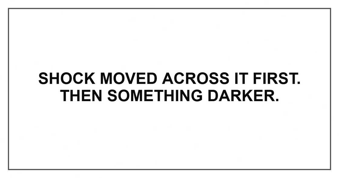 Shock moved across it first. Then something darker.