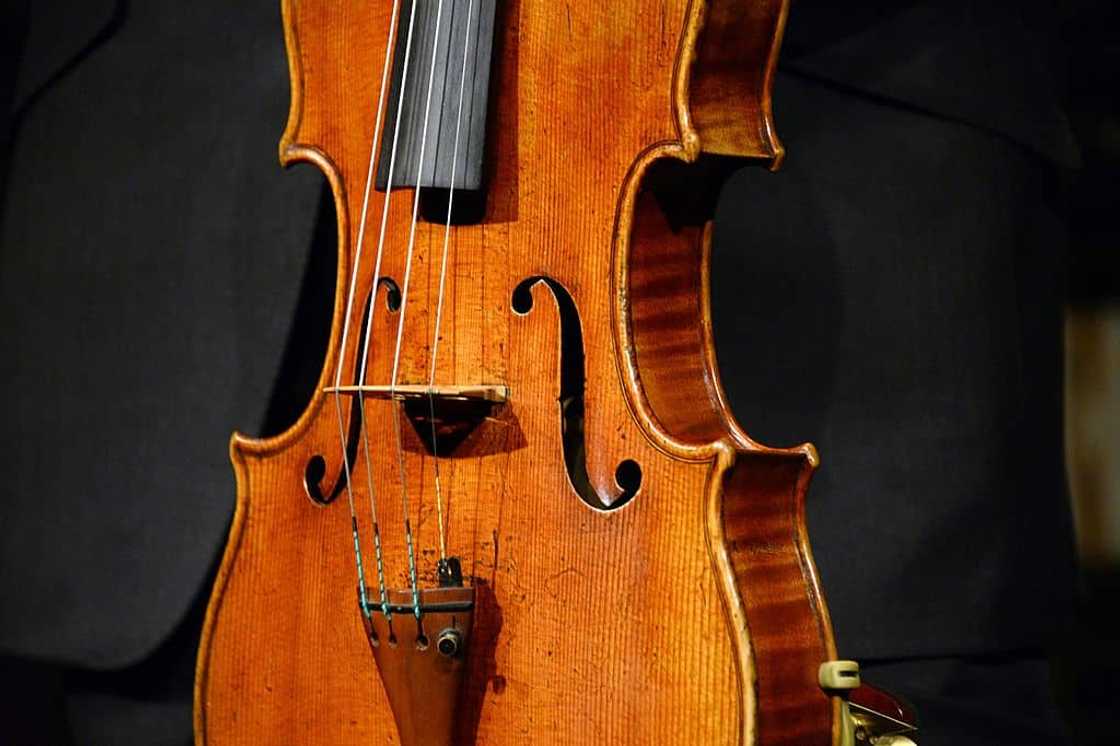 The most expensive viola
