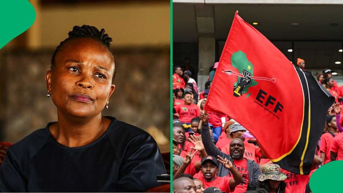 Busi Mkhwebane is resigning from the Economic Freedom Fighters Busi Mkhwebane is resigning from the Economic Freedom Fighters