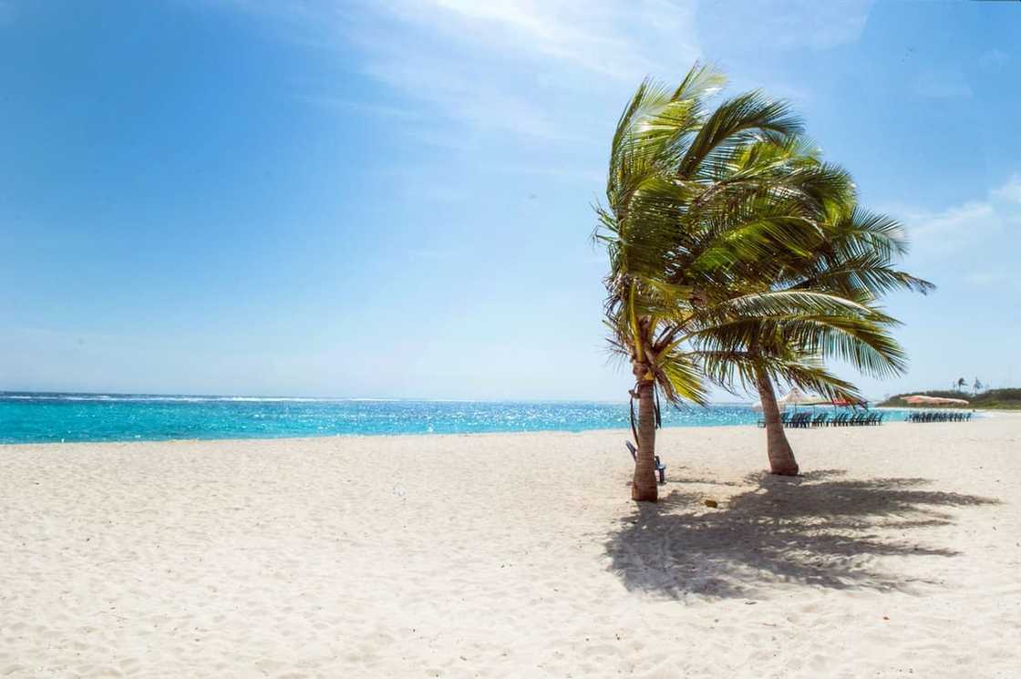 Weather and seasons in South Africa: Here's all you need to know Weather and seasons in South Africa: Here's all you need to know