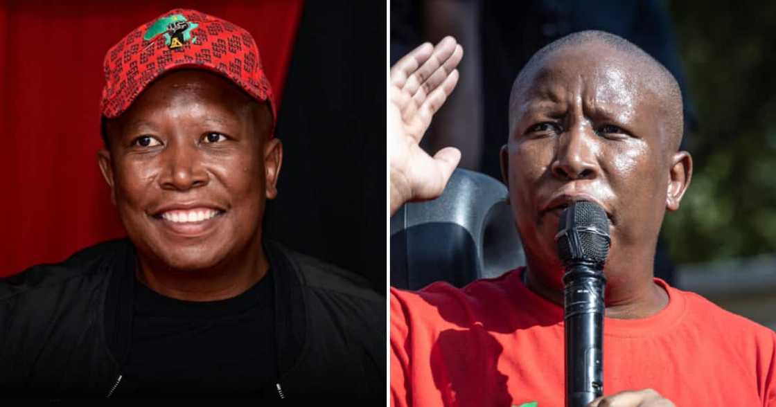 EFF leader Julius Malema talks about SA most pressing issues in rousing BBC interview EFF leader Julius Malema talks about SA most pressing issues in rousing BBC interview