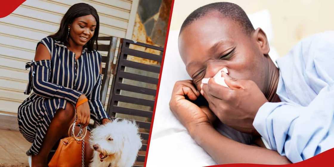 Woman chooses puppy over man with allergies Woman chooses puppy over man with allergies
