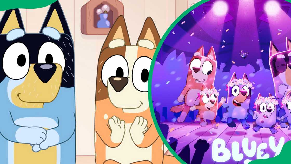 sad Bluey episodes characters sad Bluey episodes characters