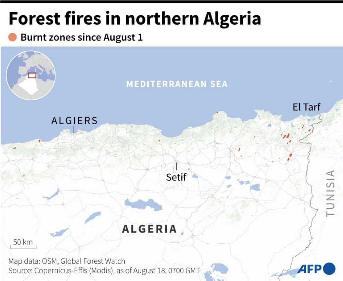 Forest fires in northern Algeria