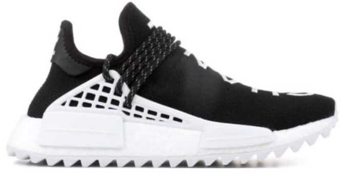 most expensive sneaker collection most expensive sneaker collection