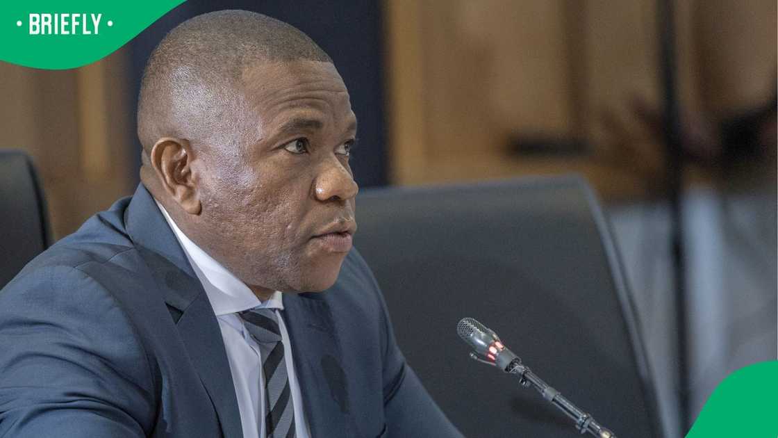 Nhlanhla Mkhwanazi issued a stark warning to South Africans