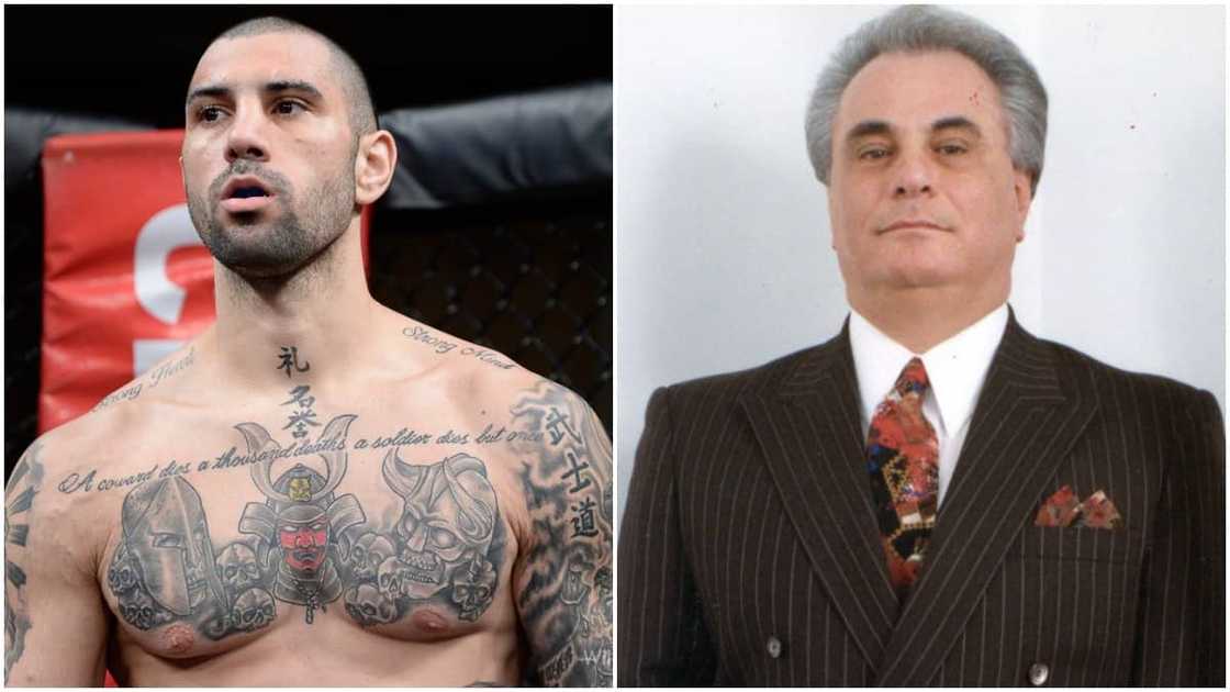 Gambino family Gambino family