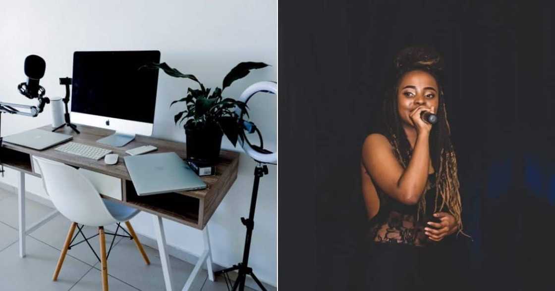 women, woman, black, studio, laptop, bae, love, lights, chair, table, pot, plant