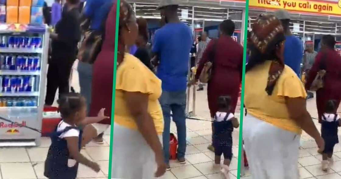 TikTok video of kid on a leash TikTok video of kid on a leash