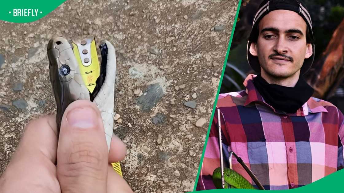 A man found 4a black mamba.