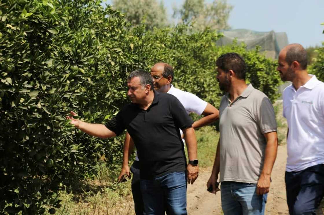 Yassine Gargouri (L), a farmer who hired the RoboCare startup company, checks his citrus trees in the region of Nabeul, Tunisia