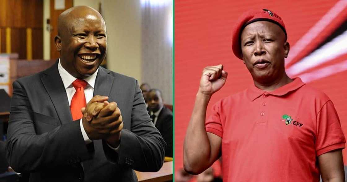 Julius Malema's lux lifestyle Julius Malema's lux lifestyle