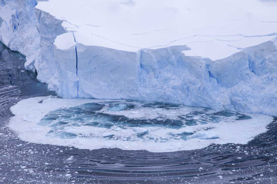 High angle view of glacier collapsing on Antarctic Ocean High angle view of glacier collapsing on Antarctic Ocean