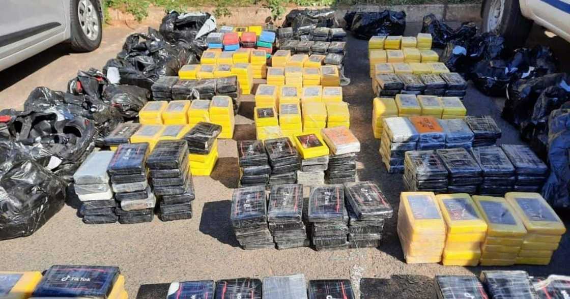 541kgs, cocaine, KZN depot, worth R243m, animal food, pet food, Isipingo, container, brand names, SAPS, drugs, trafficking 541kgs, cocaine, KZN depot, worth R243m, animal food, pet food, Isipingo, container, brand names, SAPS, drugs, trafficking