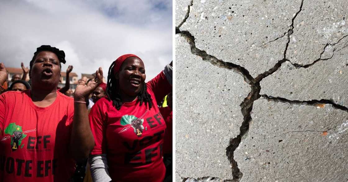 EFF Gauteng branch members react to earthquake. EFF Gauteng branch members react to earthquake.