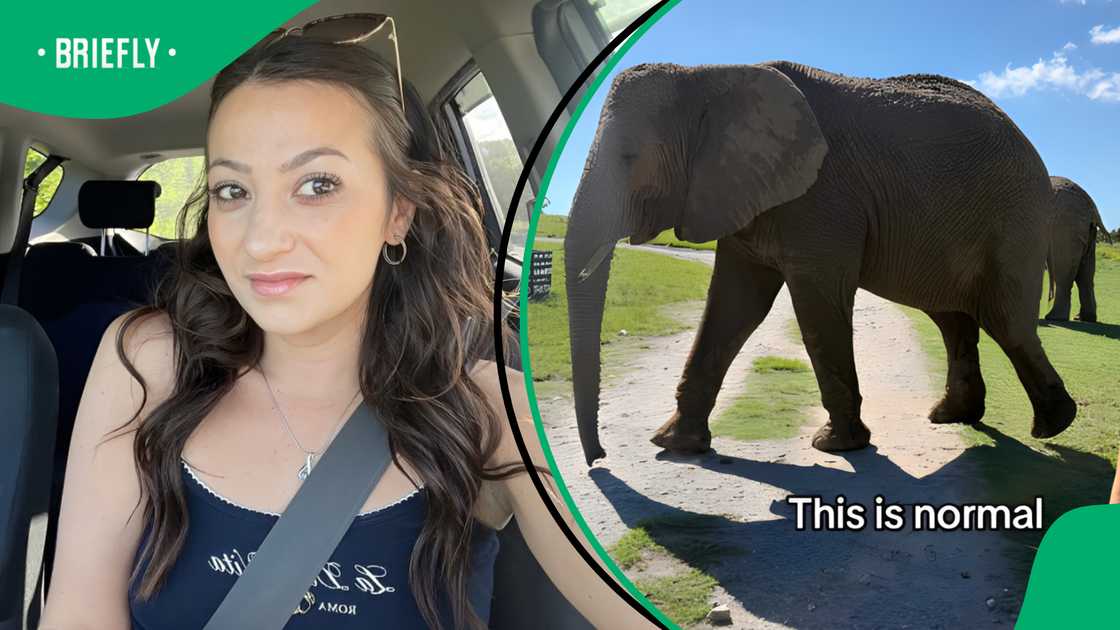 American tourist's experience of SA has SA questioning their own reality American tourist's experience of SA has SA questioning their own reality