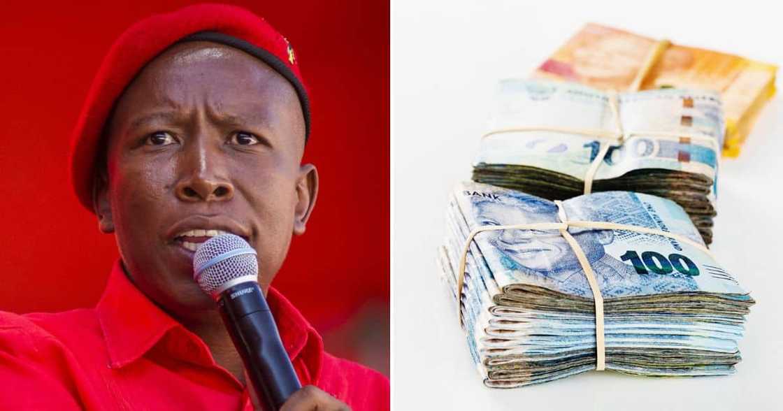 EFF plans to reward the party's top performing leaders EFF plans to reward the party's top performing leaders