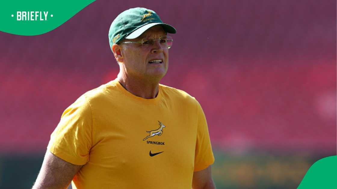 Rassie Erasmus, Springboks, South Africa