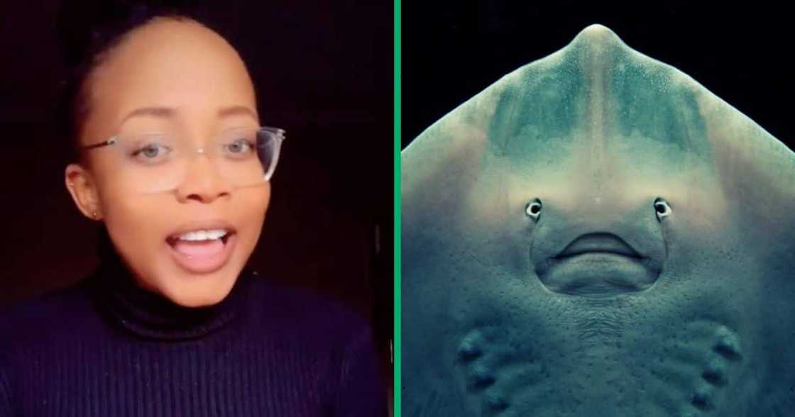 A woman talks about how she swam with a stingray A woman talks about how she swam with a stingray