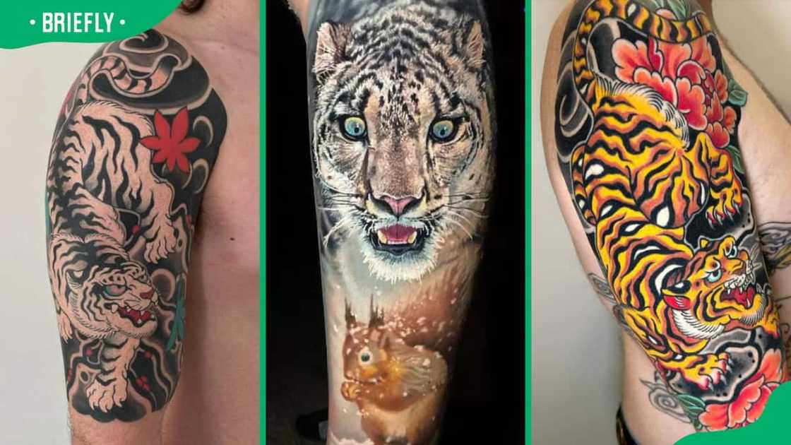 Japanese tiger tattoo designs and their meaning Japanese tiger tattoo designs and their meaning