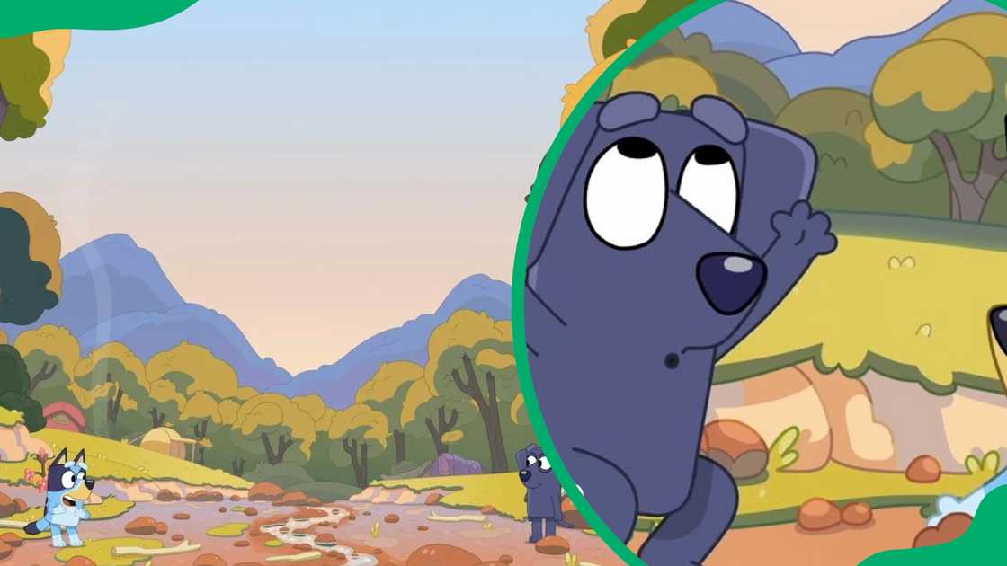 Camping characters Camping characters