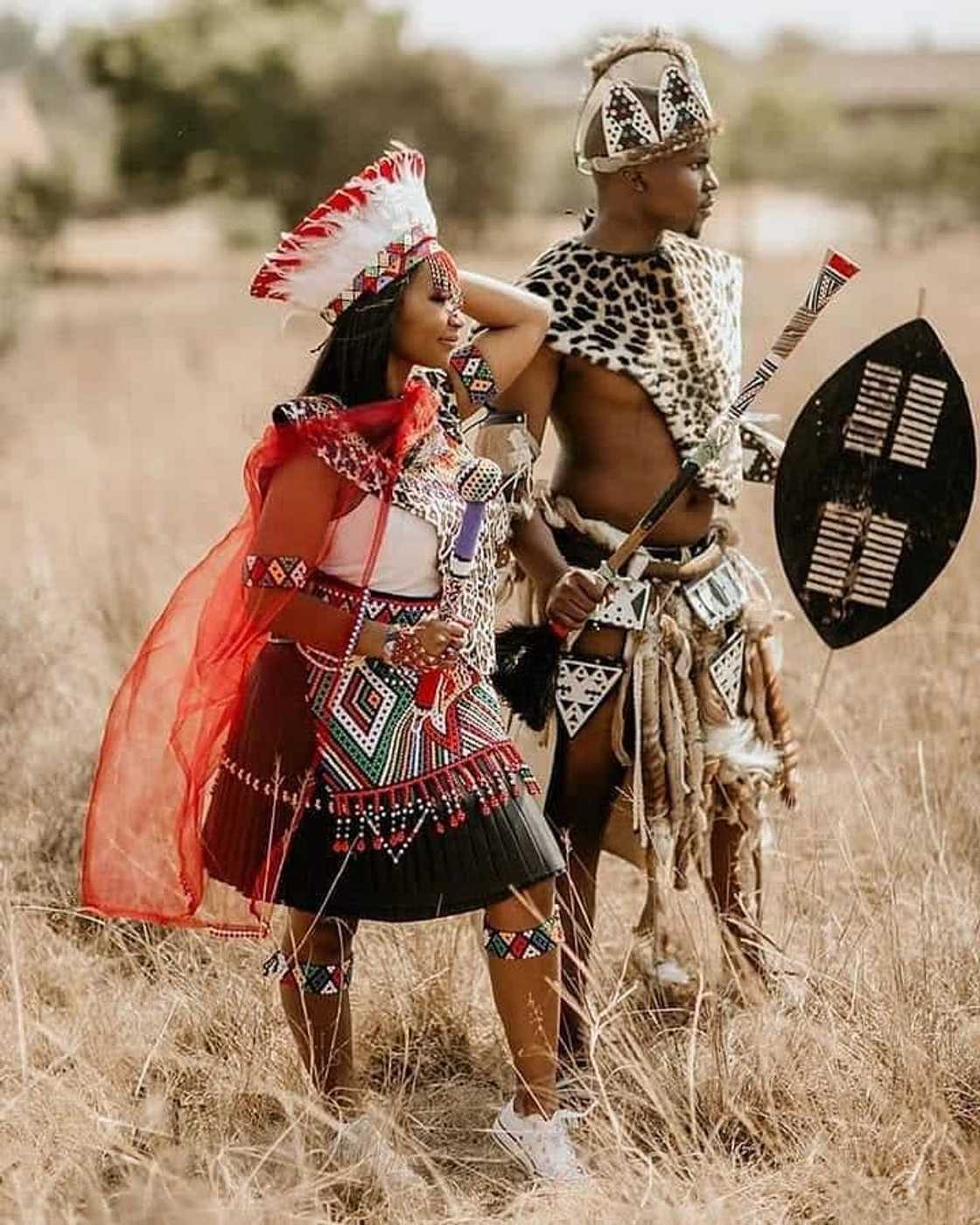 Top 11 SA languages Top 11 SA languages