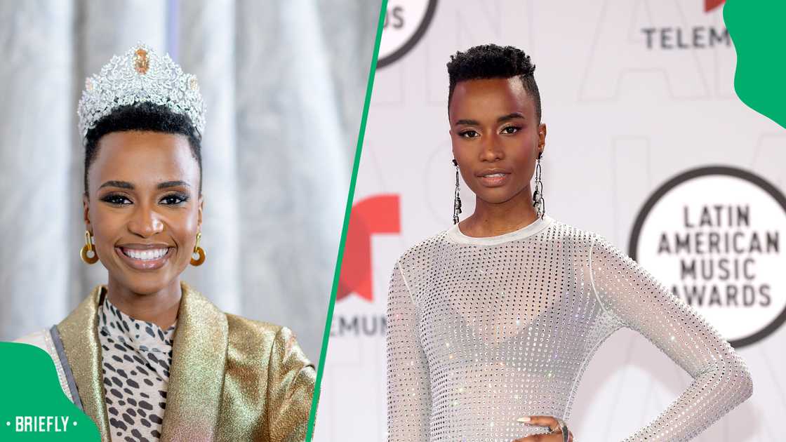Netizens reacted to Zozi Tunzi's stunning appearance at the 'Bad Influencer' launch Netizens reacted to Zozi Tunzi's stunning appearance at the 'Bad Influencer' launch