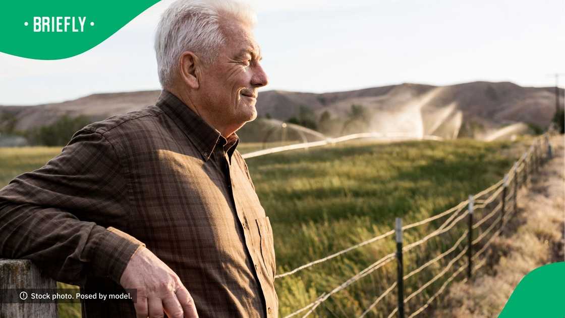 South Africans flourishing in the USA. South Africans flourishing in the USA.