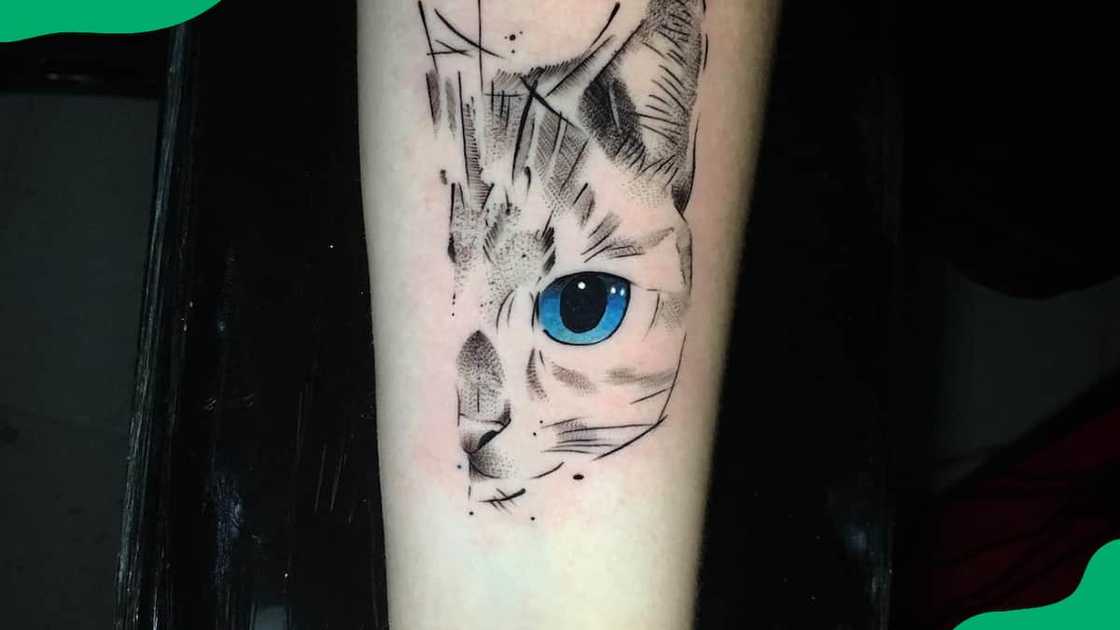 Blue-eyed cat tattoo Blue-eyed cat tattoo