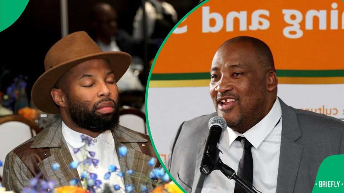 Sizwe Dhlomo trolled Gayton McKenzie