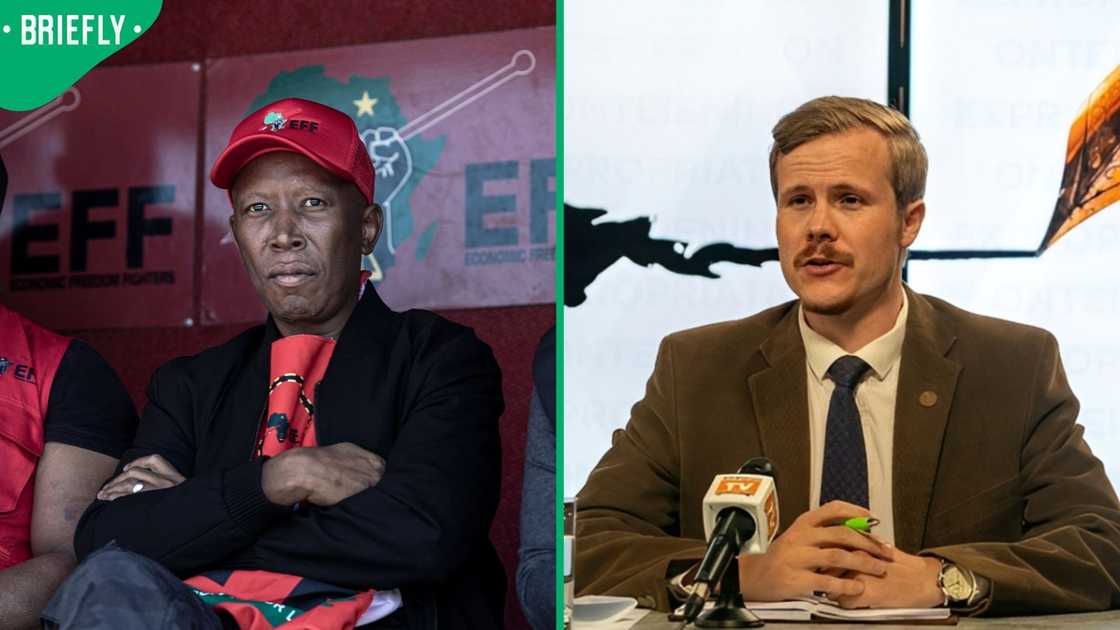 AfriForum’s Ernst Van Zyl weighed in on Julius Malema’s sentence