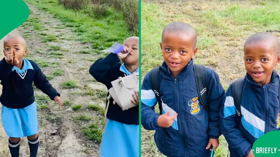 TikTok users were happy to hear that their favourite twins reached 1M followers on the app TikTok users were happy to hear that their favourite twins reached 1M followers on the app