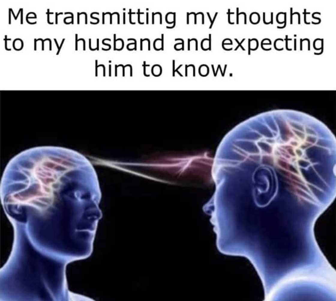 Memes for her Memes for her