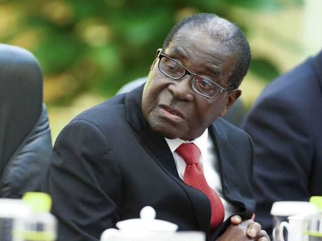 The life and times of Robert Mugabe- Including all the events leading to his death