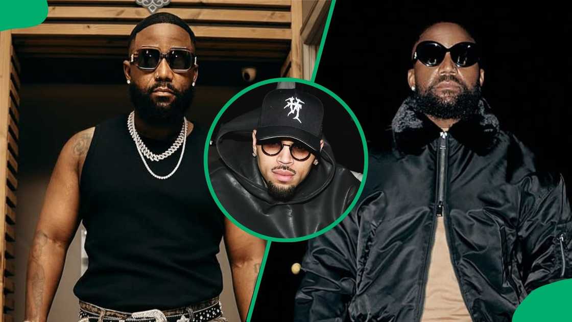 Chris Brown threw shade at Chris Brown's fans Chris Brown threw shade at Chris Brown's fans