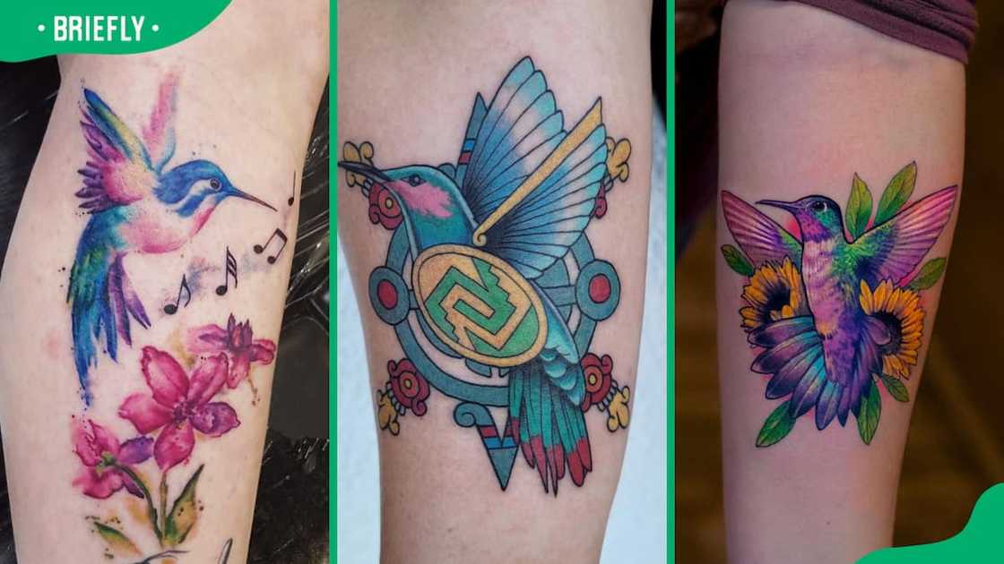 Hummingbird tattoo ideas Hummingbird tattoo ideas