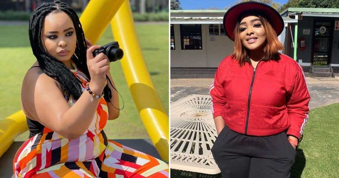 Dinky Bliss Dinky Bliss