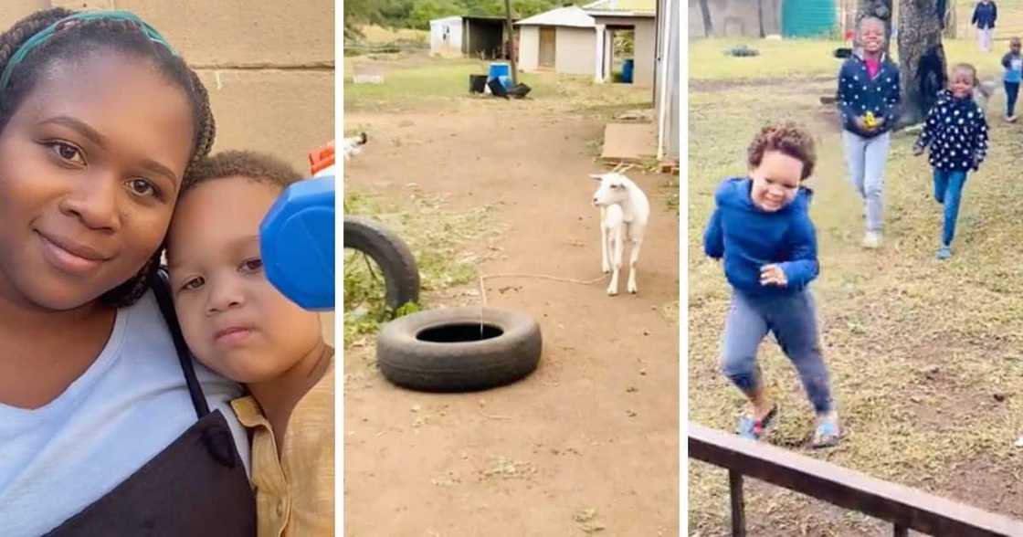 Lady takes her son to go visit his grandparents