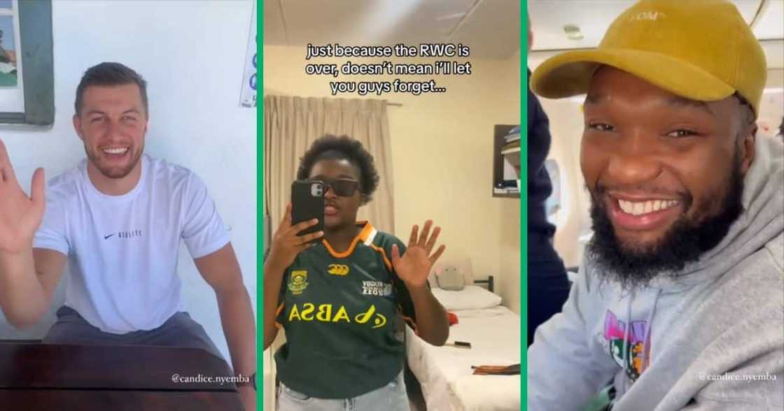 Springbok fan gets shoutout Springbok fan gets shoutout