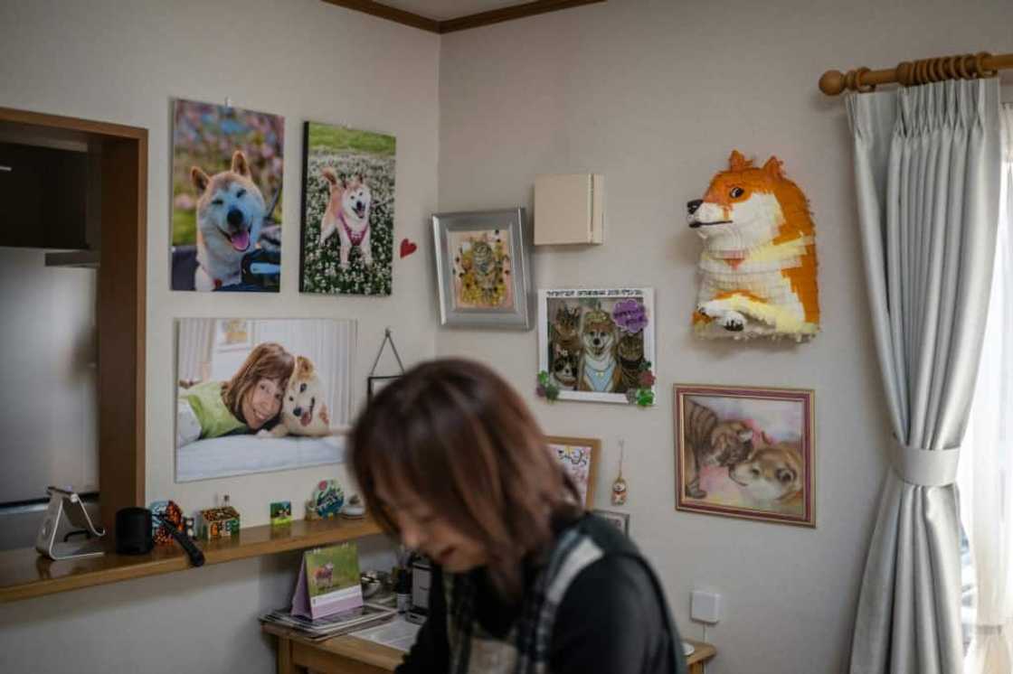 As a rescue dog, Kabosu's real birthday was unknown, but Sato estimated her age at 18 As a rescue dog, Kabosu's real birthday was unknown, but Sato estimated her age at 18