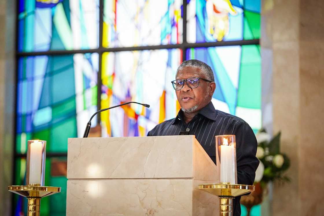 South Africans roasted Fikile Mbalula