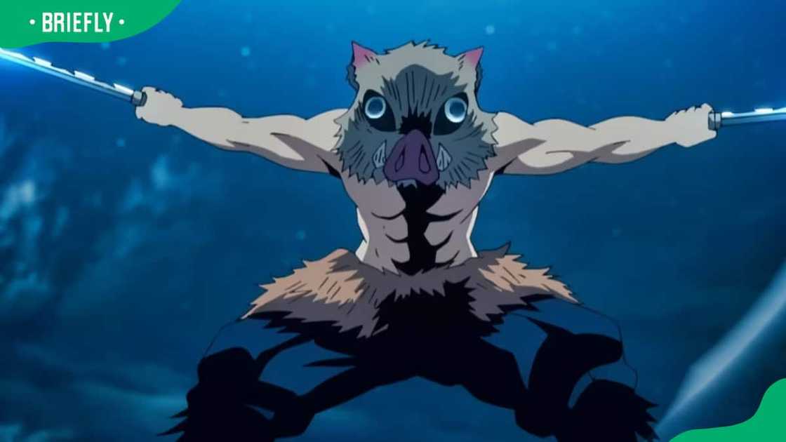 Inosuke with his swords Inosuke with his swords
