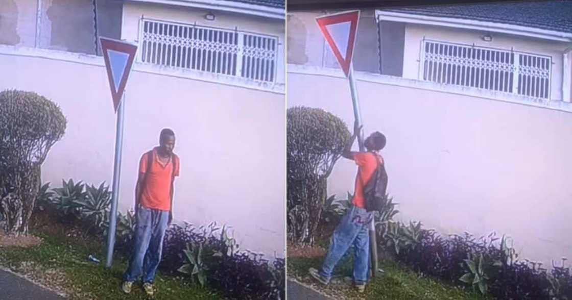 Man stealing SA road sign Man stealing SA road sign