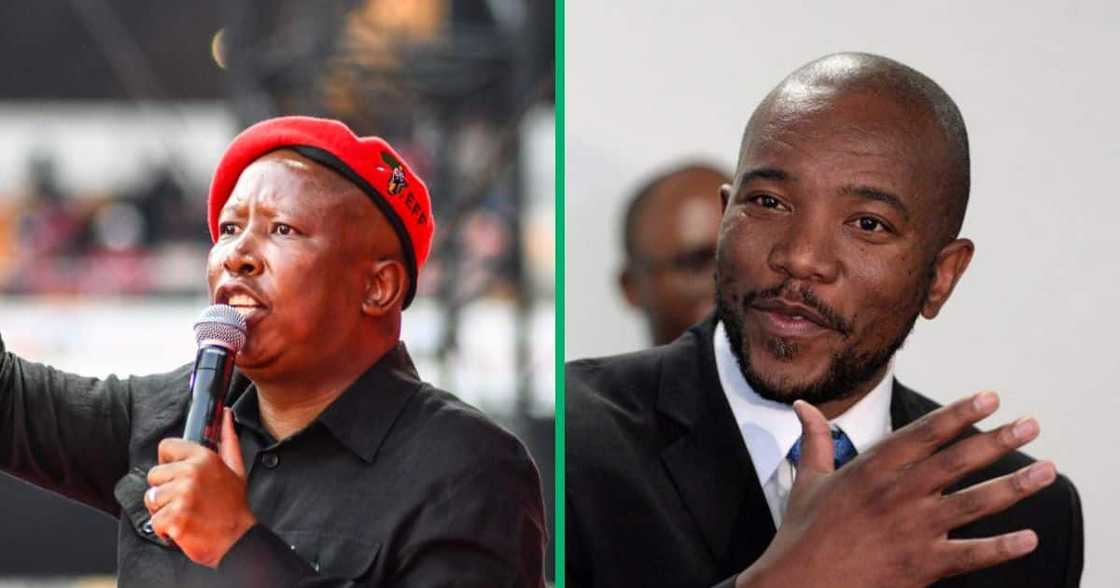 Build One SA leader Mmusi Maimane and The Economic Freedom Fighter's leader Julius Malema got into a heated debate on X Build One SA leader Mmusi Maimane and The Economic Freedom Fighter's leader Julius Malema got into a heated debate on X