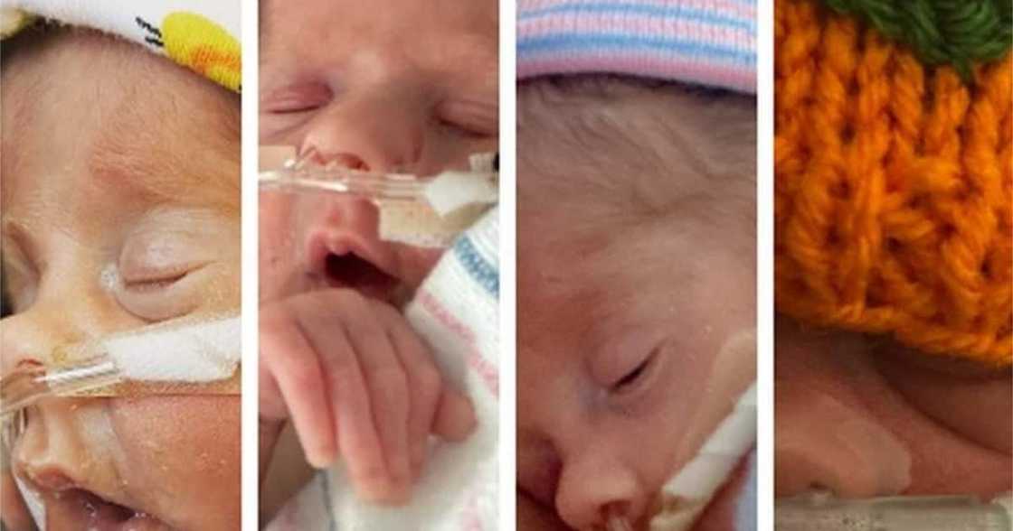 The babies will remain at the hospital until November. The babies will remain at the hospital until November.