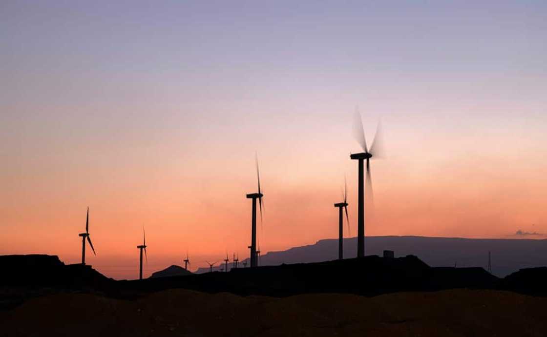 Wind turbines on the Red Sea coast of Egypt, which has agreed on a large new wind energy project with the UAE Wind turbines on the Red Sea coast of Egypt, which has agreed on a large new wind energy project with the UAE