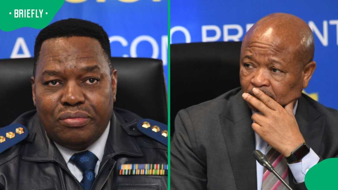 National Commissioner General Fannie Masemola testified about Senzo Mchunu allegedly disbanding the Political Killings Task Team