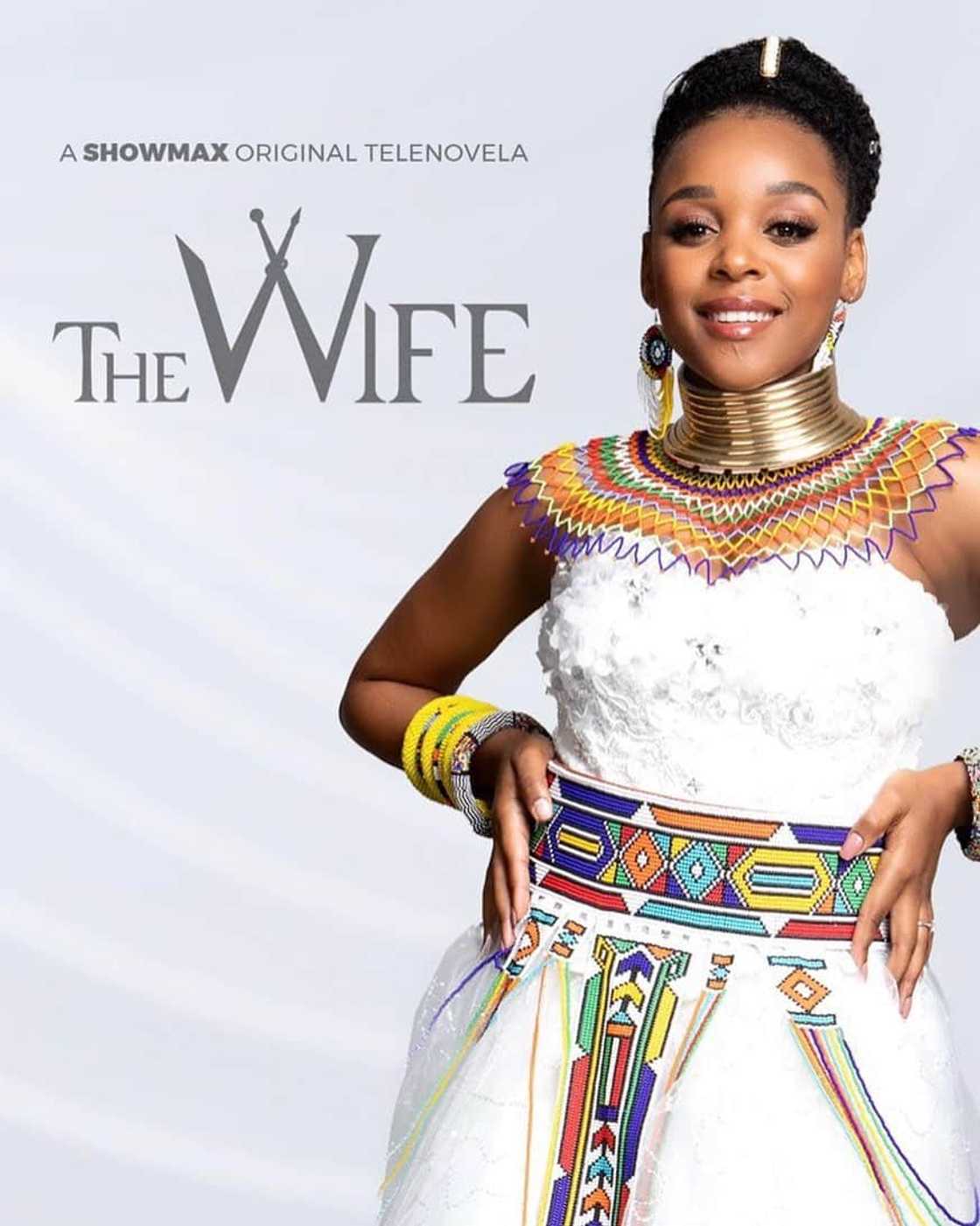 Where can I watch The Wife in South Africa? Where can I watch The Wife in South Africa?